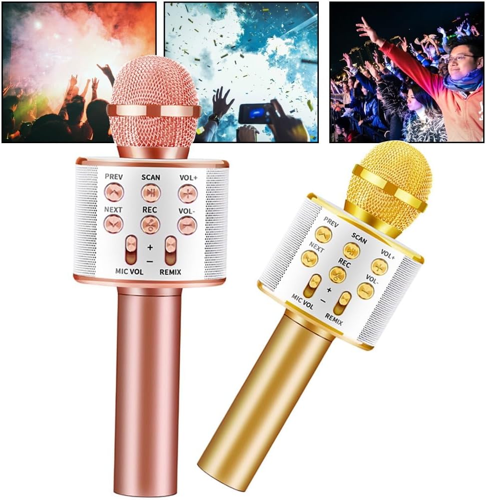 Wireless Microphone Hifi speaker