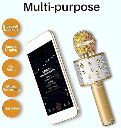 Wireless Microphone Hifi speaker