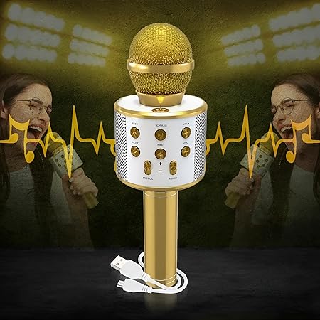 Wireless Microphone Hifi speaker