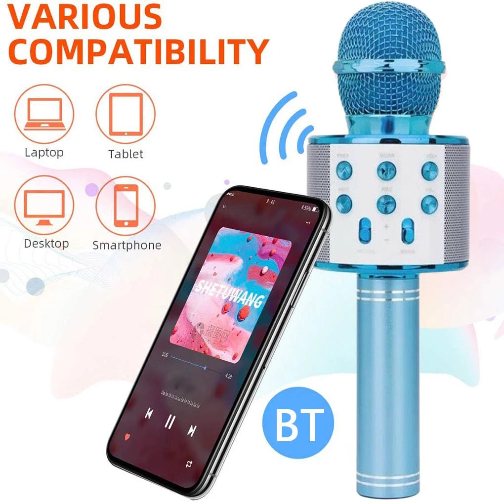 Wireless Microphone Hifi speaker