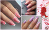 Artificial Nails Pack - 576 Nails with Glue & Stickers