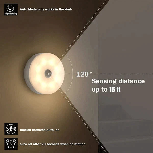 LED Motion Sensor Light